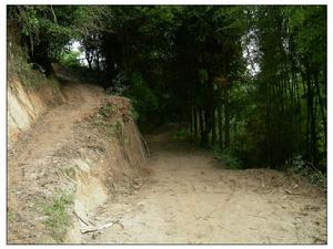 尹家田自然村村內道路