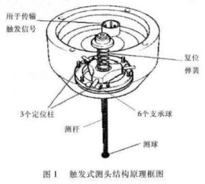 側頭結構簡圖