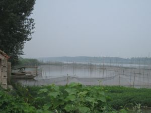 魯河鄉養魚基地一角