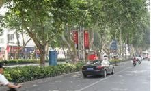 王城大道街景