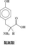 酪氨酸