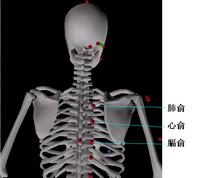 （圖）膈俞穴