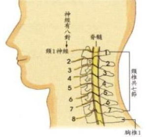 頸椎退行性變