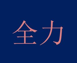 全力[漢語詞語]