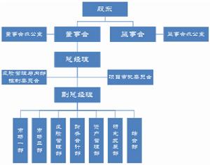 中投租賃有限責任公司組織結構