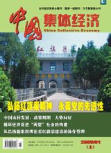 中國集體經濟雜誌封面