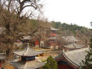 靈泉寺[山東沂水縣龍家圈鄉]