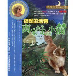 夜晚的動物：離家出走的小貓