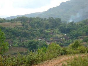 蘆山平掌自然村