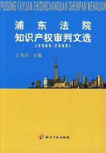 浦東法院智慧財產權審判文選