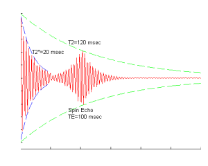 自旋迴波的模擬範例圖