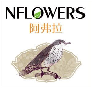 阿弗拉 NFLOWERS