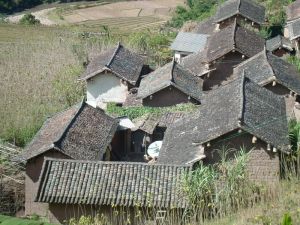 下岔河村[雲南省普洱市大朝山東鎮新村下轄村]