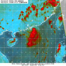 颱風苗柏