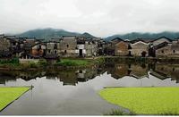 小池村[福建省清流縣溫郊鄉下轄村]