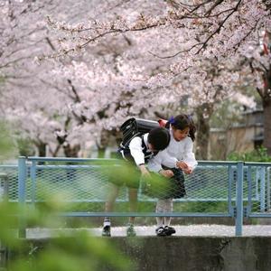 加西亞女孩如何過夏天