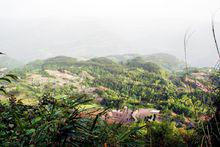 鹿鳴村[四川巴中通江縣瓦室鎮鹿鳴村]