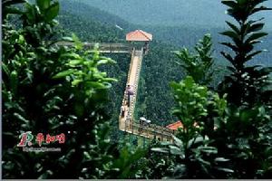 高寨村[福建漳州平和高寨村]