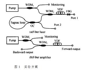 光暗化效應