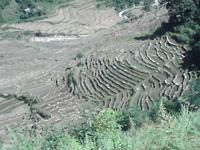 雲南省鳳慶縣大寺鄉路山村進村道路