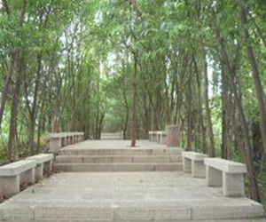 梅家山公園