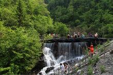 龍寨溝分園