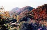 尖山寺森林公園[甘肅省天水市甘谷縣尖山寺森林公園]