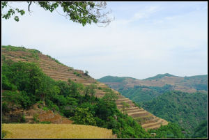 登山梯田