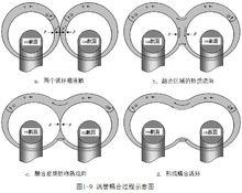 一元二態物質觀