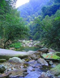 藥菇山國有林場