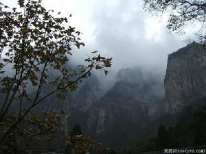 《山中白雲》