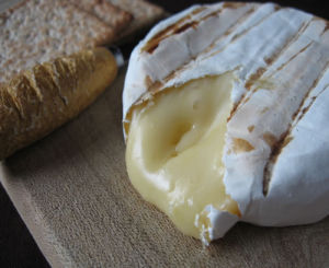 camembert