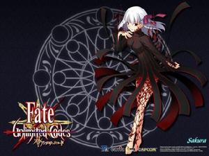 fate/stay night[TYPE-MOON發行的文字冒險遊戲]