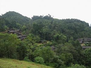 茶子園自然村