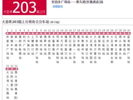 大亞灣公交203路