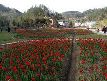 紅岩寺鎮[湖北省建始縣紅岩寺鎮]