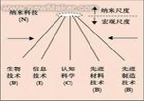 認知神經科學