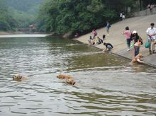 滴水岩森林公園