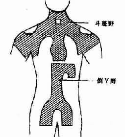 原發性骨淋巴瘤