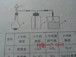 氨氣尾氣處理裝置