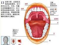 口腔潰瘍妙方