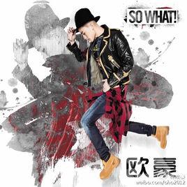 SO WHAT[中國歌手歐豪演唱歌曲]