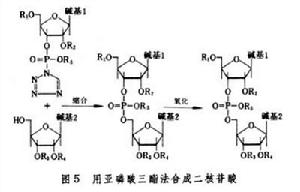 核酸的人工合成