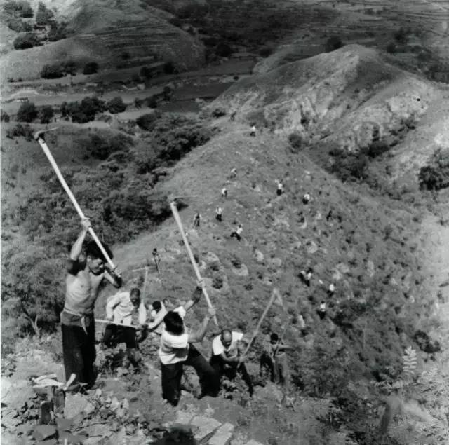 (1961年農民上山造林)