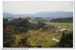 杏山村[浙江省餘姚市黃家埠鎮杏山村]