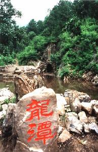 九龍山國家森林公園