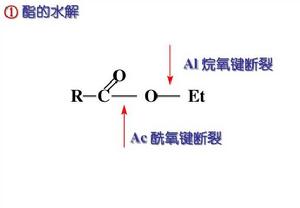 單分子酸催化醯氧斷裂