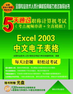 5天通過職稱計算機考試（考點視頻串講+全真模擬）——Excel 2003中文