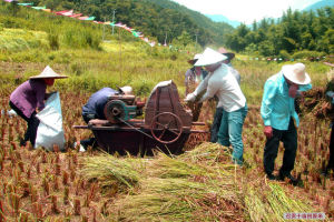 召貢十畝田原米