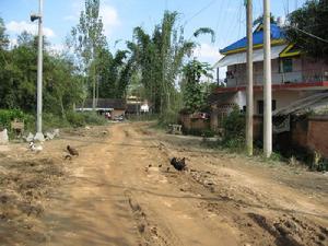 進村道路